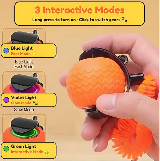WICKED Rolling Ball