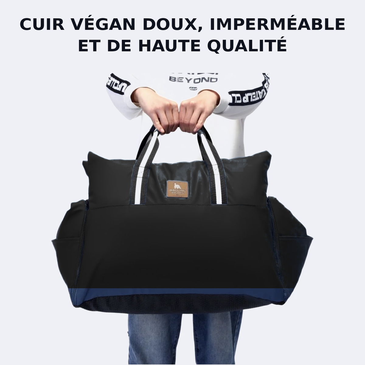 Siège auto pour chien Dog Dock V3 – fixation ISOFIX